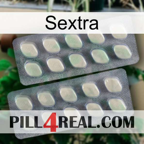 Sextra 07.jpg